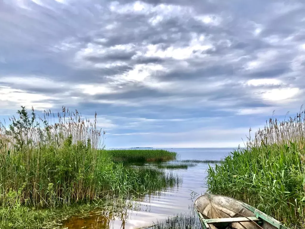 Участок в Псковская область, Псковский район, пос. Поддубье  (25.0 ... - Фото 0