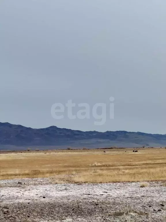 Участок в Алтай, с. Кош-Агач пл. Ленина (3347.06 сот.) - Фото 1