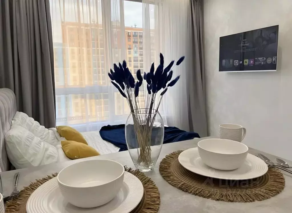 Студия Москва Производственная ул., 17 (24.0 м) - Фото 2