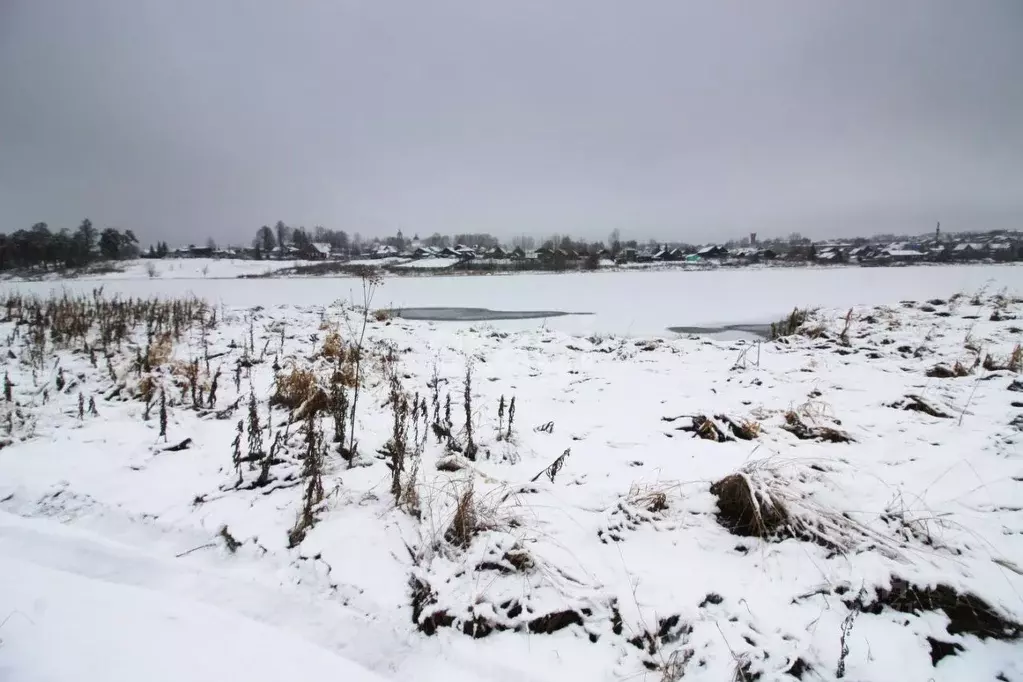 Участок в Свердловская область, Горноуральский городской округ, с. Лая ... - Фото 1