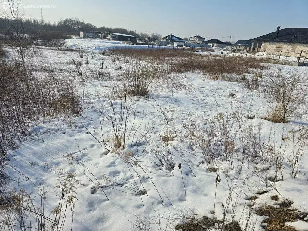 Участок в Калининградская область, Гурьевский муниципальный округ, ... - Фото 1