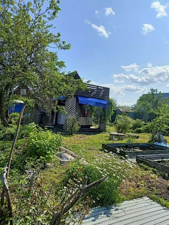 Дом 28,7 м на участке 5,7 сот. - Фото 1