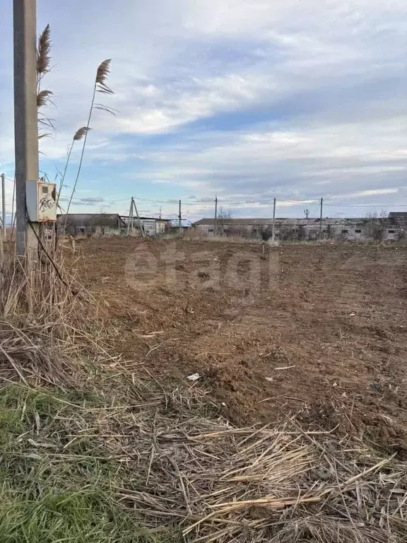 Участок в Краснодарский край, Темрюкский район, Новотаманское с/пос, ... - Фото 2