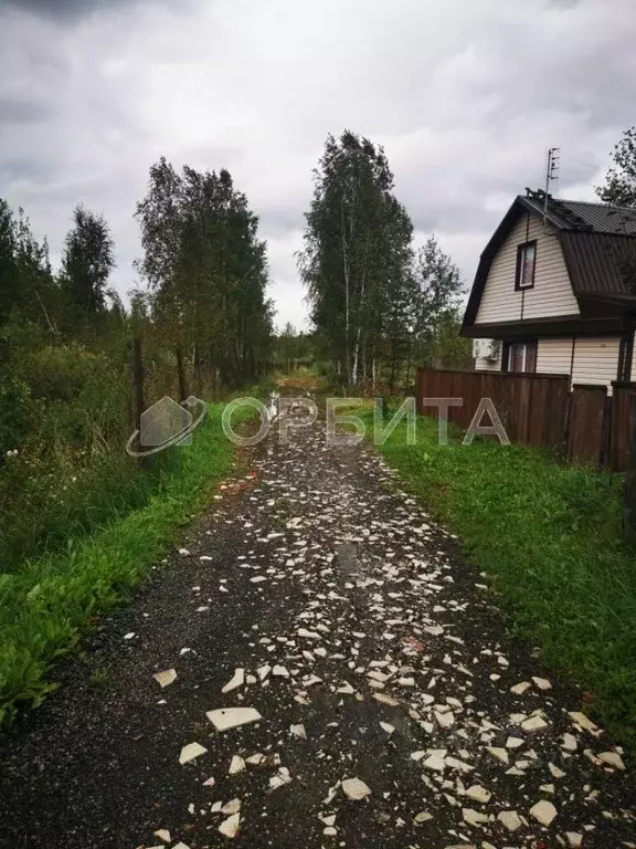 Участок в Тюменская область, Тюменский район, Майское СНТ  (7.4 сот.) - Фото 0