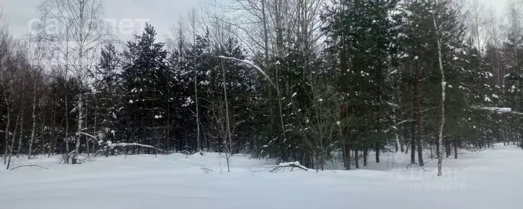 Участок в Московская область, Орехово-Зуевский городской округ, д. ... - Фото 1