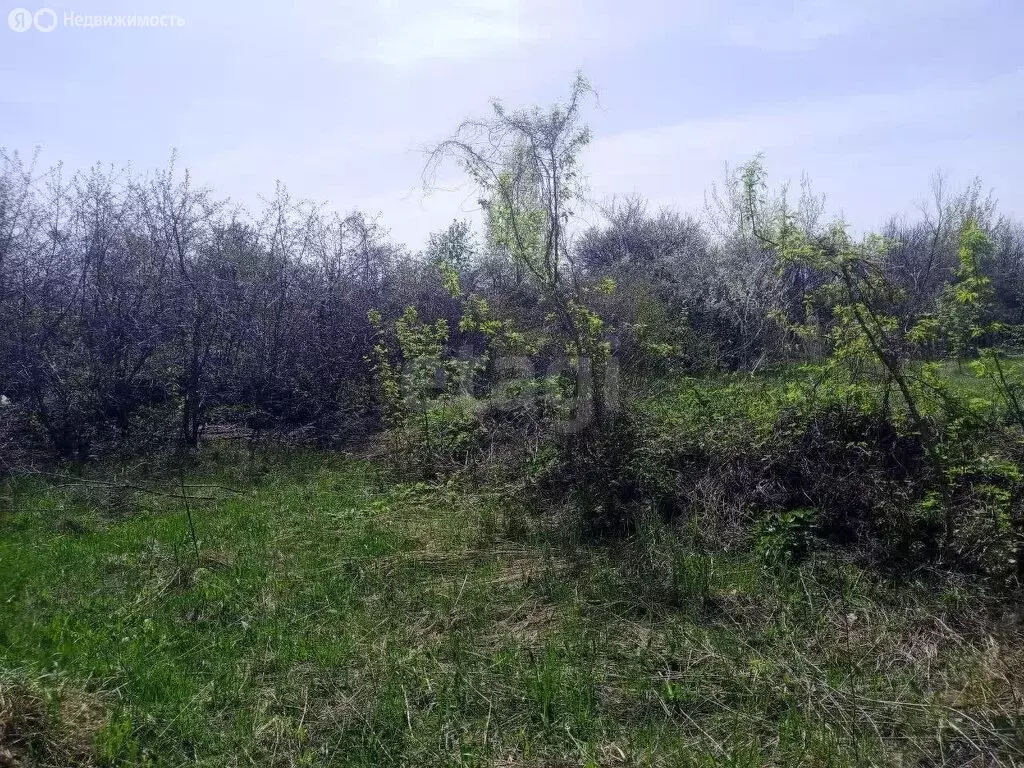 Участок в Ульяновск, СТ Север (308 м) - Фото 2