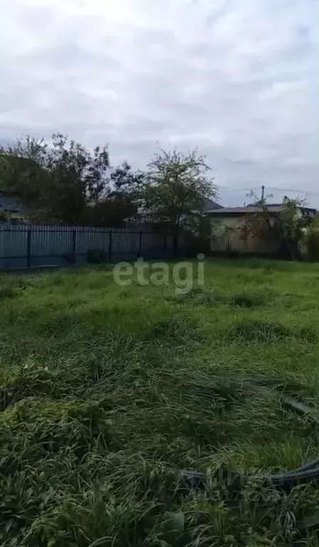 Участок в Калининградская область, Калининград Чайка СНТ, проезд ... - Фото 1