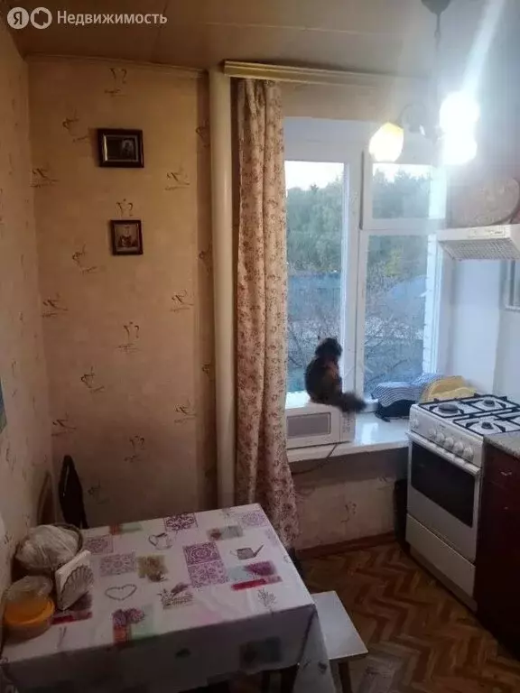 2-комнатная квартира: Мытищи, 4-я Парковая улица, 24 (44 м) - Фото 1