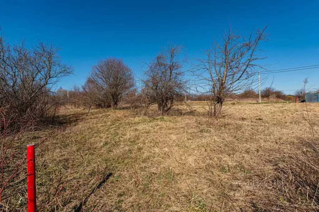 Участок в Калининградская область, Зеленоградский муниципальный округ, ... - Фото 1