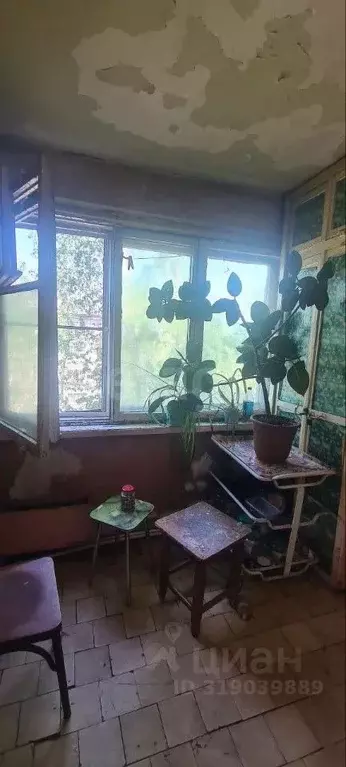 Комната Забайкальский край, Чита ул. Курнатовского, 81 (11.8 м) - Фото 0
