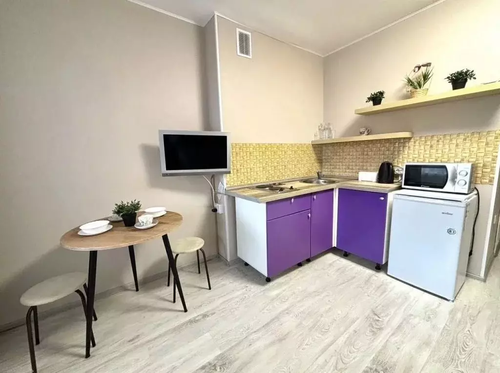 1-к кв. Татарстан, Казань просп. Победы, 90 (27.0 м) - Фото 1