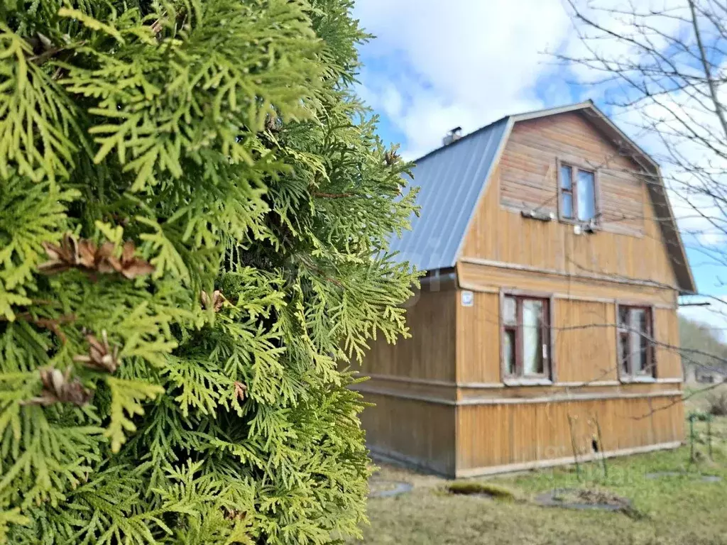 Дом в Вологодская область, Череповецкий район, д. Костенево  (65 м) - Фото 1