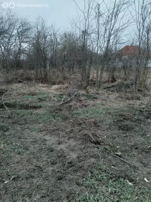 Участок в Энемское городское поселение, аул Новобжегокай, улица Хатита ... - Фото 0