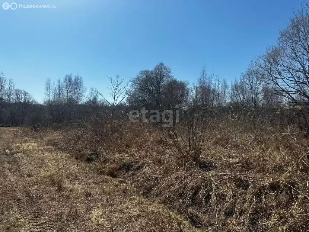 Участок в Арсеньев, Сосновая улица (12 м) - Фото 1