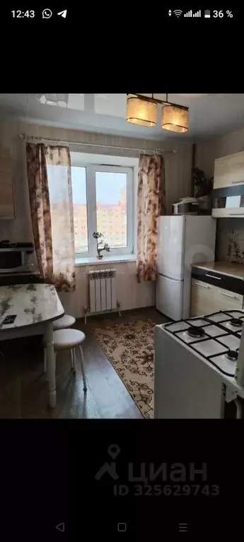 1-к кв. Марий Эл, Йошкар-Ола ул. Чернякова, 9 (40.0 м) - Фото 1