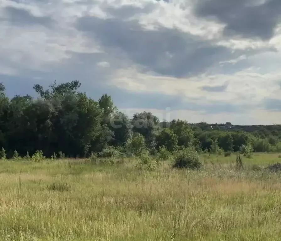 Участок в Белгородская область, Белгород Сухой Лог садоводческий ... - Фото 1
