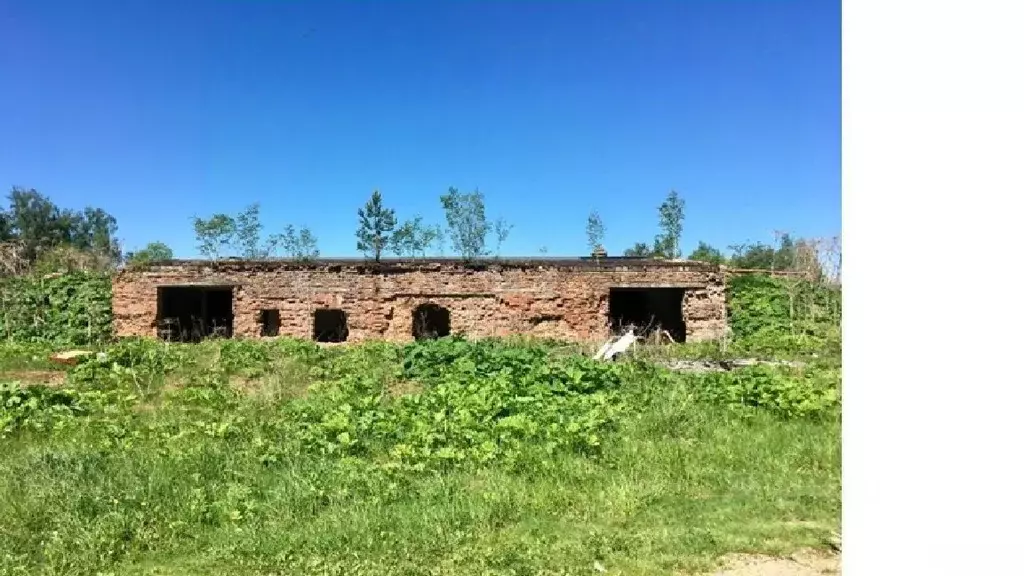 Склад в Ленинградская область, Лужский район, Заклинское с/пос, д. ... - Фото 2