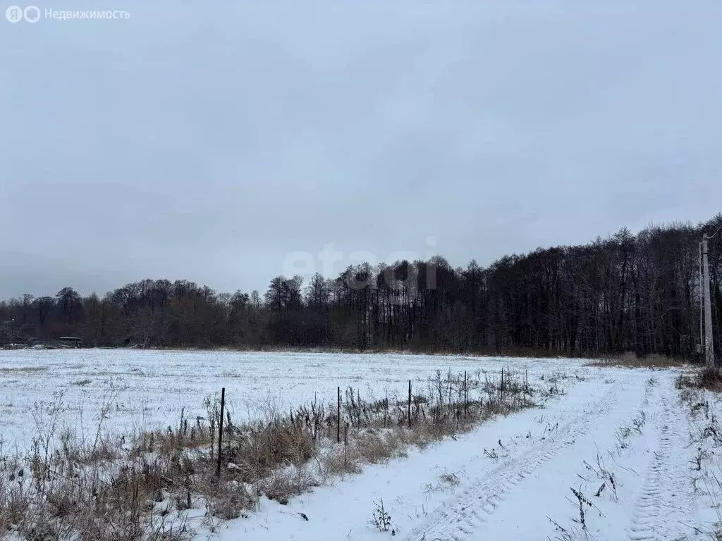 Участок в Московская область, городской округ Коломна, село Шеметово ... - Фото 1