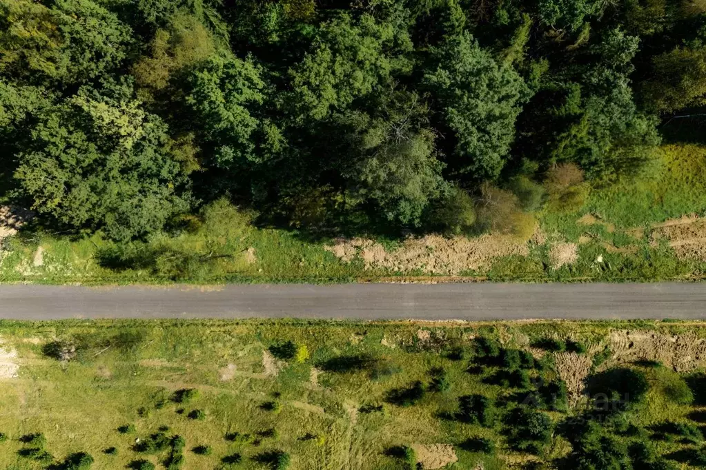 Участок в Московская область, Истра муниципальный округ, д. Дубровское ... - Фото 2