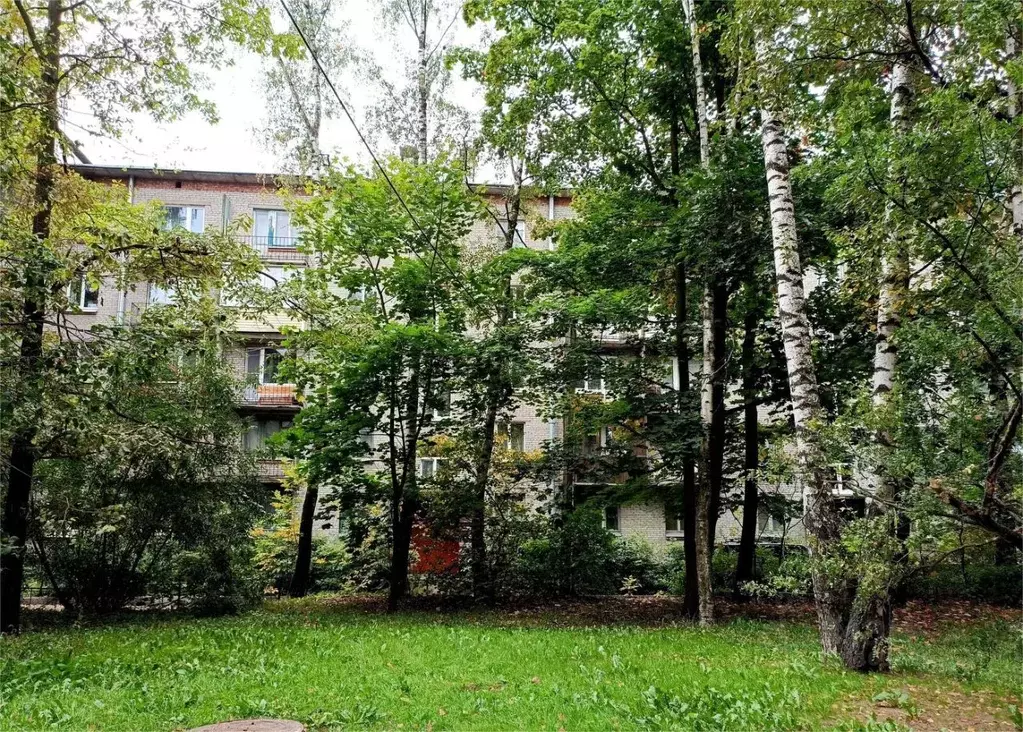 2-к кв. Санкт-Петербург бул. Новаторов, 106 (51.0 м) - Фото 0