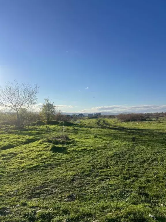 Участок в Кабардино-Балкария, Чегемский район, с. Шалушка ул. Имени ... - Фото 1