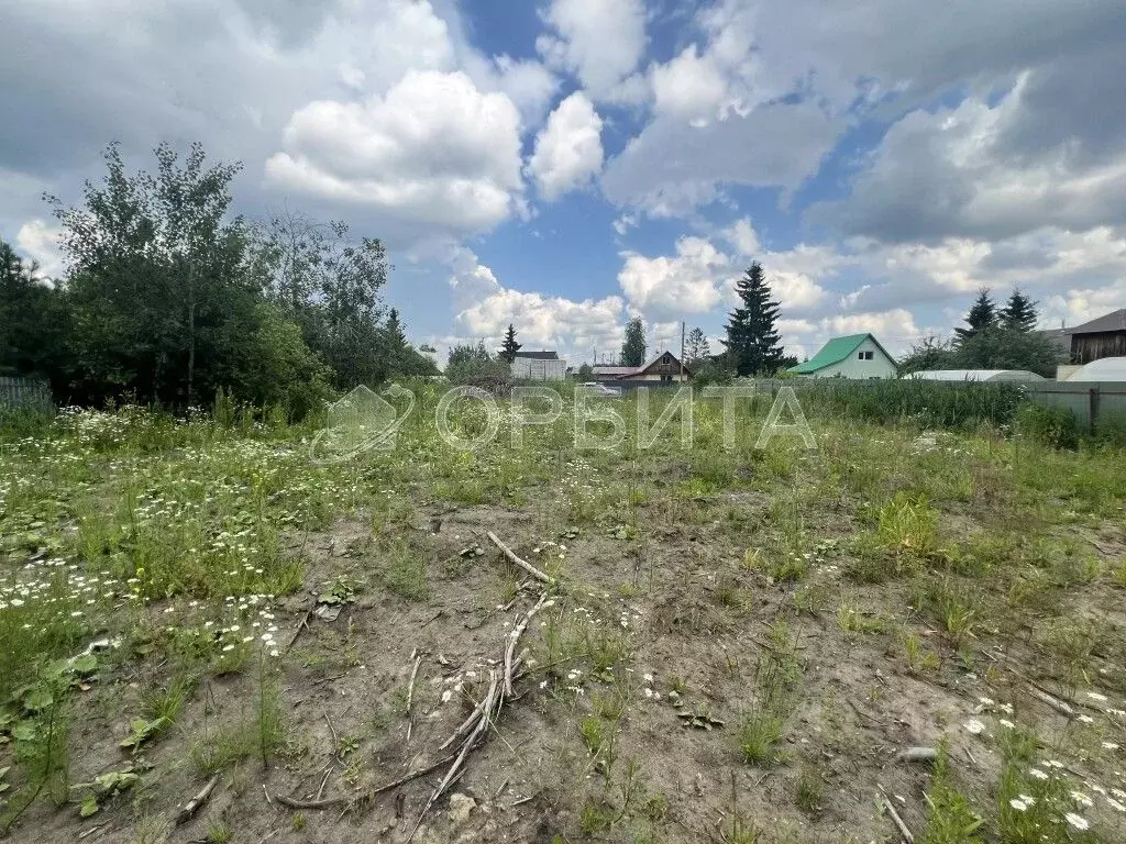 Участок в Тюменская область, Тюмень Росинка СНТ, ул. 1-я (10.0 сот.) - Фото 2