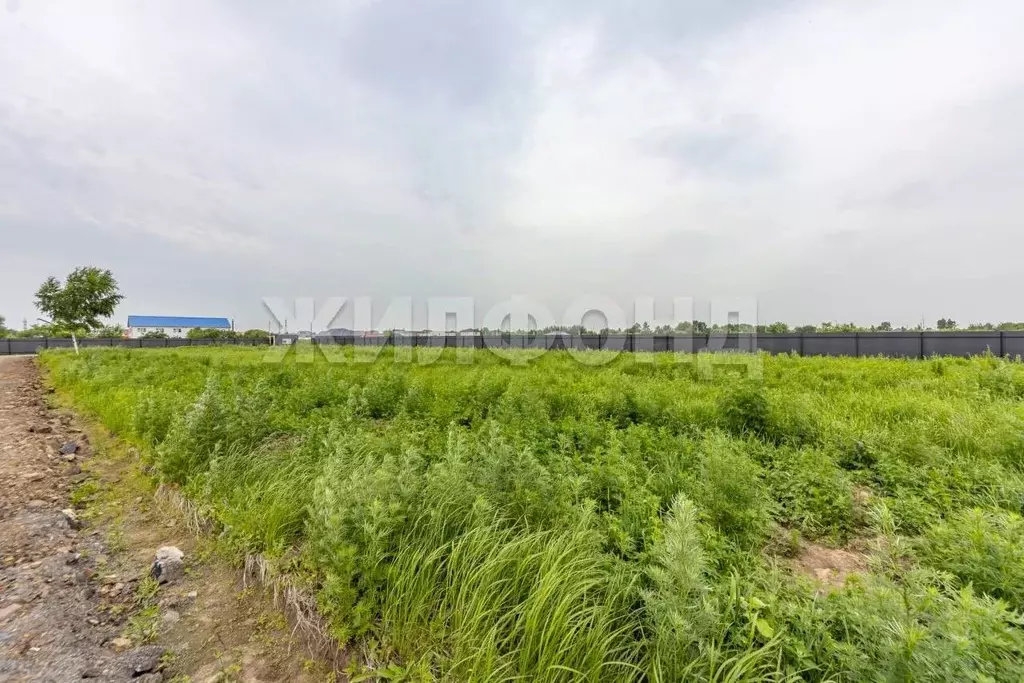 Участок в Хабаровский край, Хабаровский район, Тополевское с/пос, с. ... - Фото 2