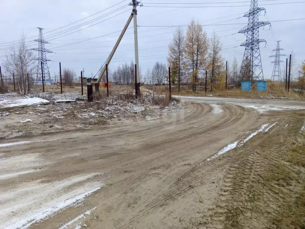 Участок в Ямало-Ненецкий АО, Новый Уренгой Дружба ТСН, 48 (6.0 сот.) - Фото 0