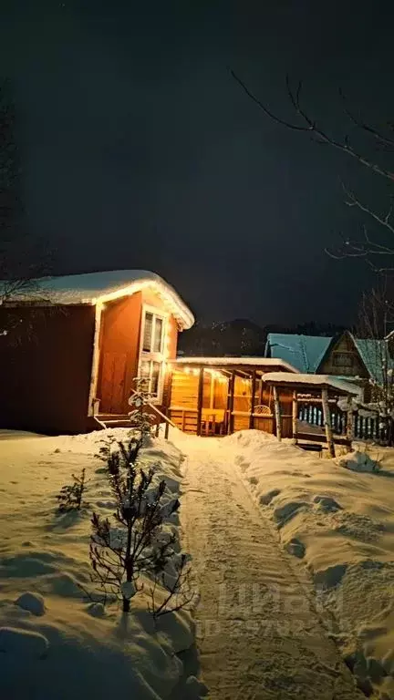 Дом в Алтай, Турочакский район, с. Иогач  (40 м) - Фото 1