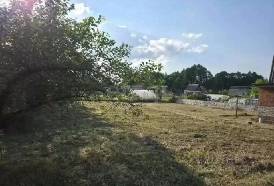Дом в Брянская область, Фокино Мичуринец-6 СДТ,  (60 м) - Фото 2