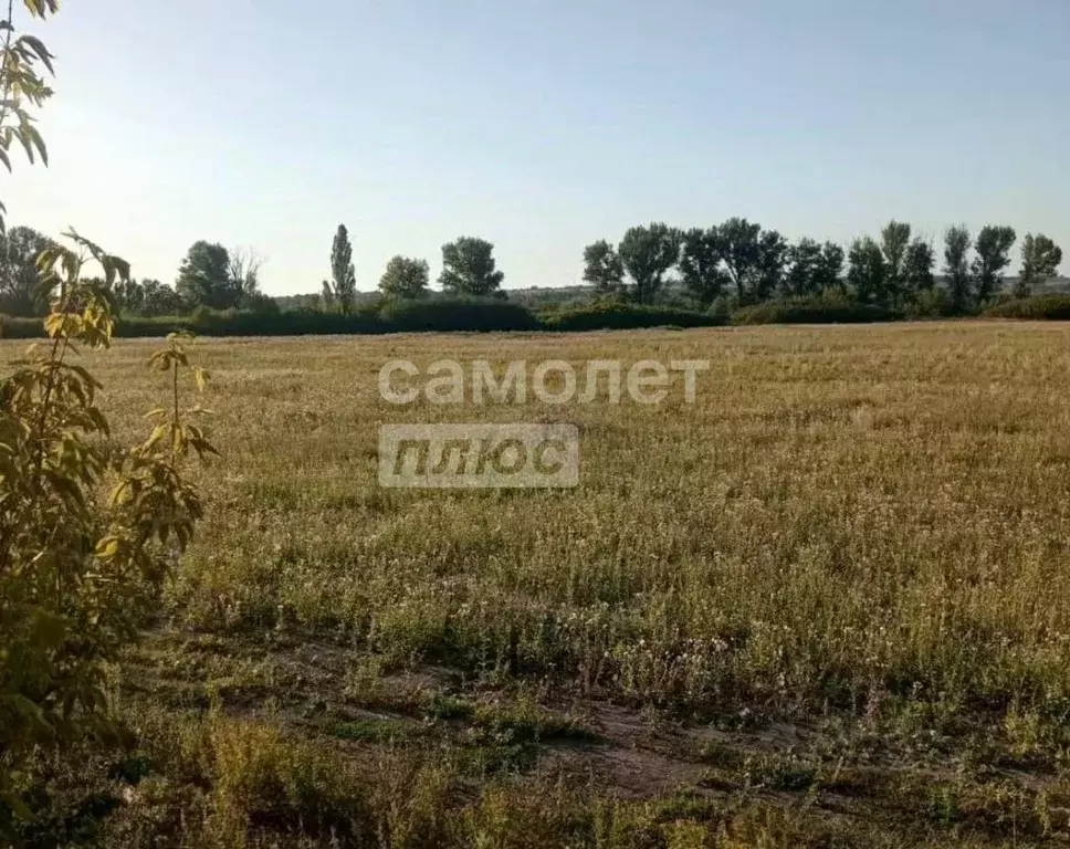 Участок в Ростовская область, Неклиновский район, с. Покровское пер. ... - Фото 2