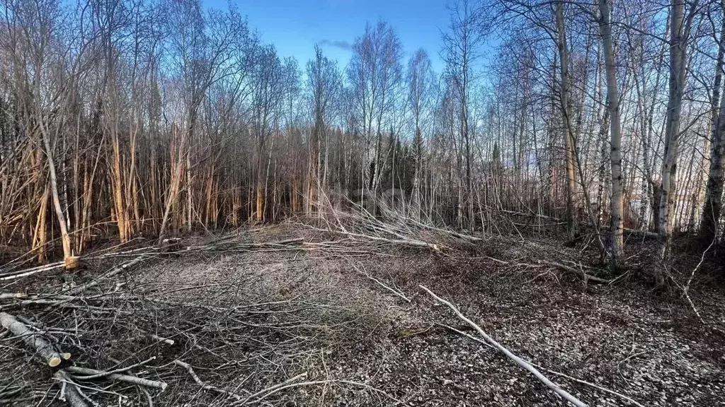 Участок в Ханты-Мансийский АО, Ханты-Мансийск Светлана СОТ,  (100.0 ... - Фото 1