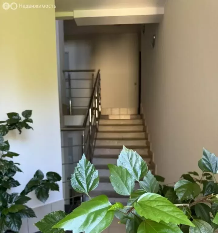 1-комнатная квартира: Светлогорск, Майский проезд, 14 (34.8 м) - Фото 2