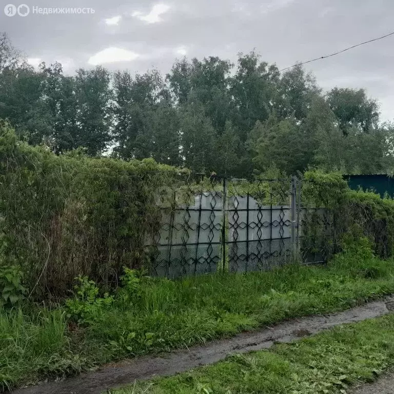 Дом в Совхозный сельсовет, СНТ Сосновское (36 м) - Фото 1