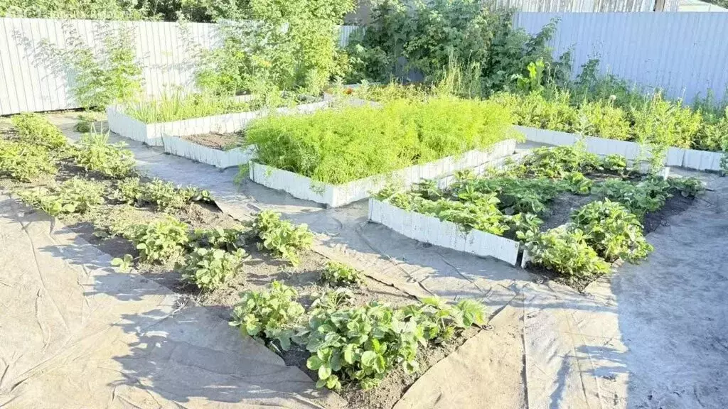 Дом в Любинский район, посёлок Камышловский (10 м) - Фото 1