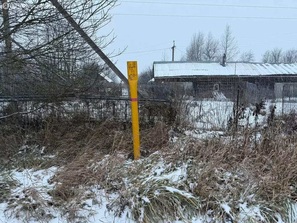 Участок в Вологодский муниципальный округ, посёлок Грибково (5 м) - Фото 2