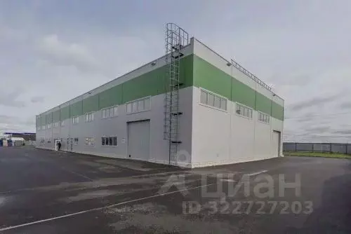 Склад в Санкт-Петербург пос. Петро-Славянка, Софийская ул., 137к1с2 ... - Фото 1