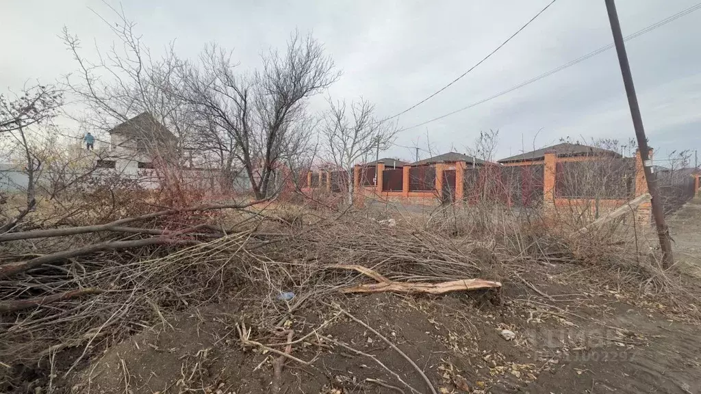 Участок в Ростовская область, Новочеркасск № 1 РосНИИПМ садовое ... - Фото 1