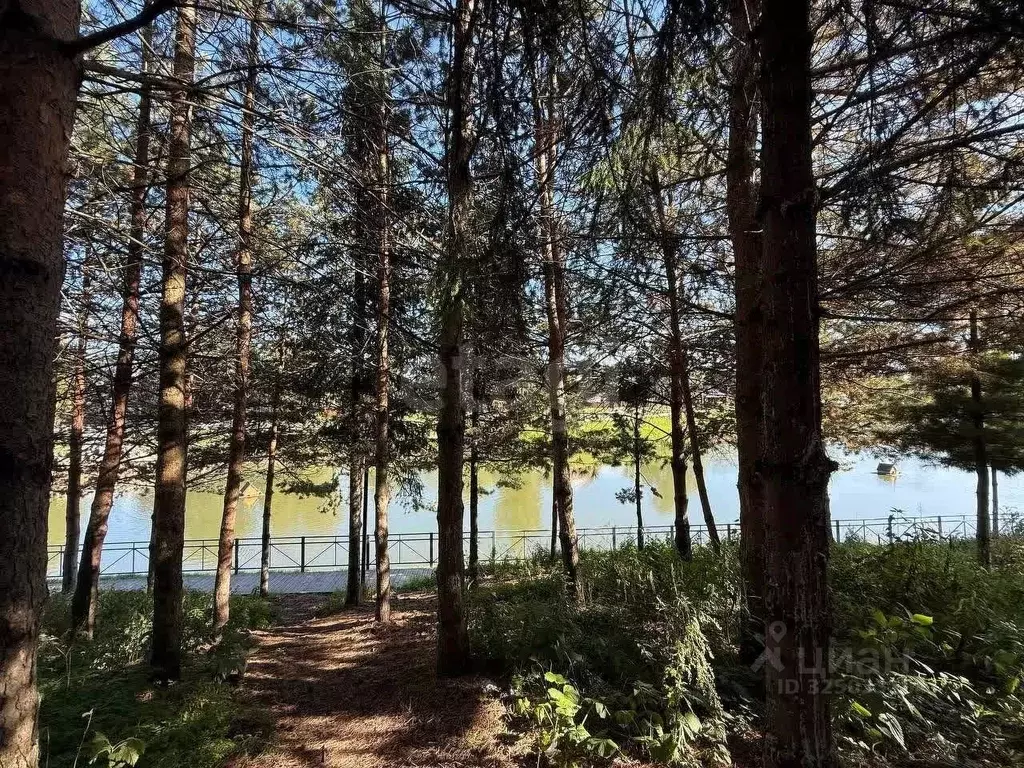 Дом в Вологодская область, Великий Устюг ул. Катышево, 1 (296 м) - Фото 1