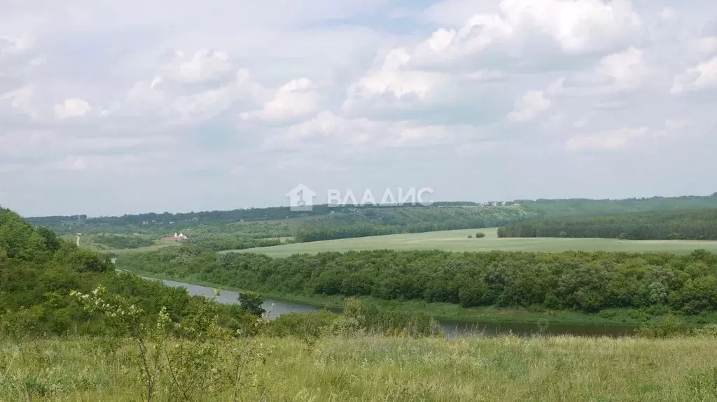 Участок в Липецкая область, Задонский район, Юрьевский сельсовет, с. ... - Фото 1