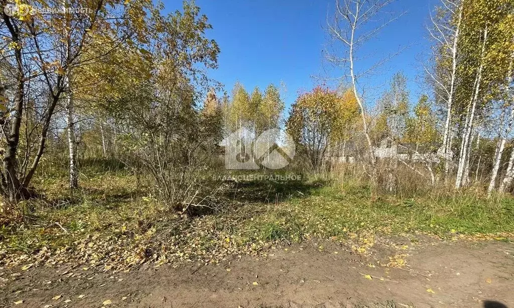 Участок в Искитимский район, Мичуринский сельсовет, дачное ... - Фото 1