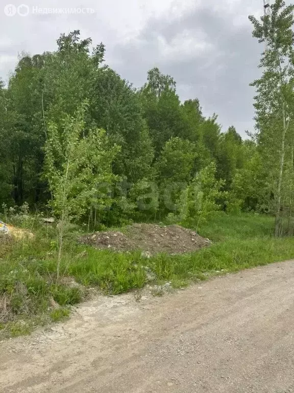 Участок в Майма, Кленовая улица (12 м) - Фото 2