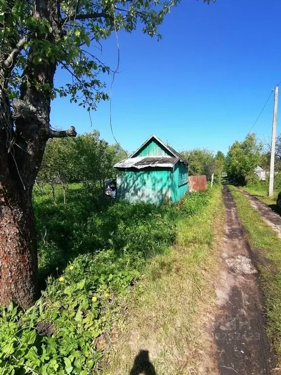 Дом в Орловская область, Орел  (15 м) - Фото 0