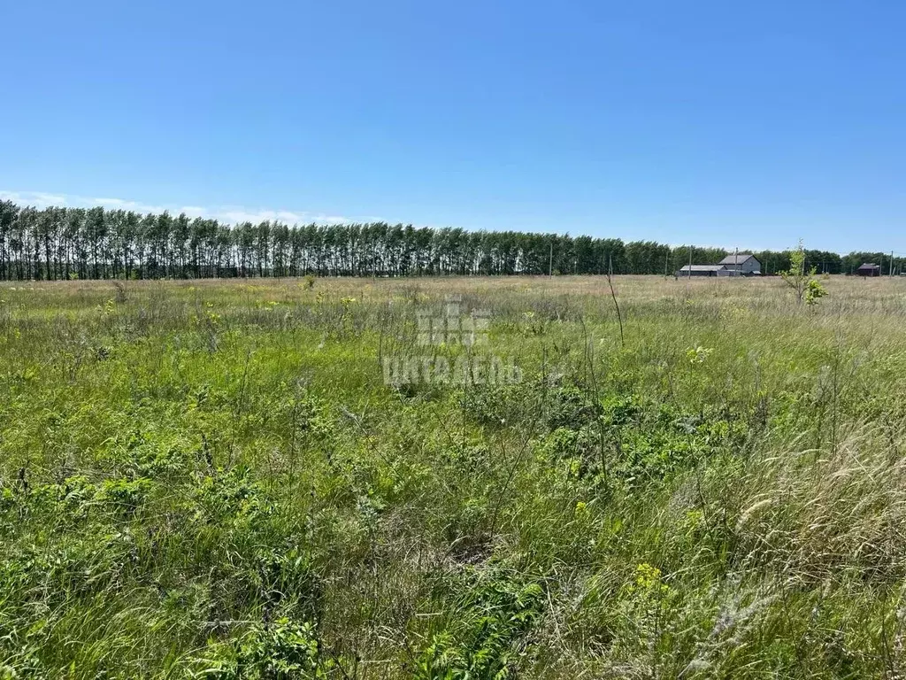 Участок в Воронежская область, Семилукский район, с. Девица ул. ... - Фото 0