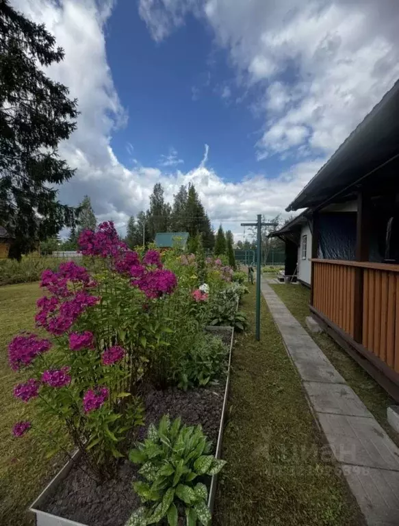 Дом в Ленинградская область, Гатчинский муниципальный округ, Новинка ... - Фото 1