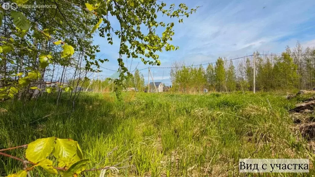 Участок в Рахьинское городское поселение, КП Ладожские берега (9 м) - Фото 1