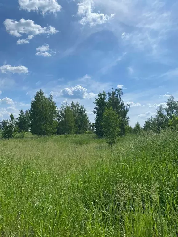 Участок в Челябинская область, Красноармейский район, Лазурненское ... - Фото 0