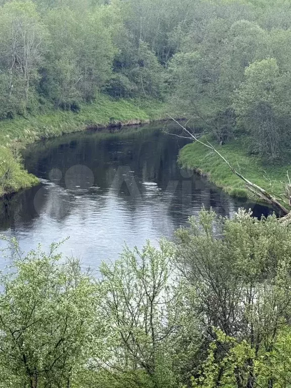 Участок 4 га (ИЖС) - Фото 0