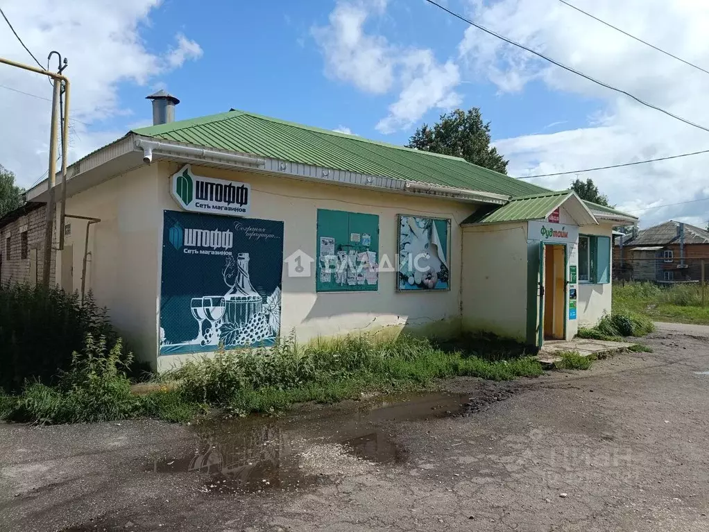 Торговая площадь в Нижегородская область, Богородский район, с. ... - Фото 1