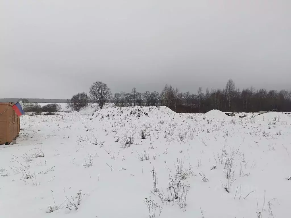 Участок в Новгородская область, Новгородский район, Борковское с/пос, ... - Фото 0